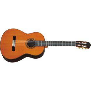 YAMAHA GC22C