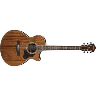IBANEZ AE245-NT