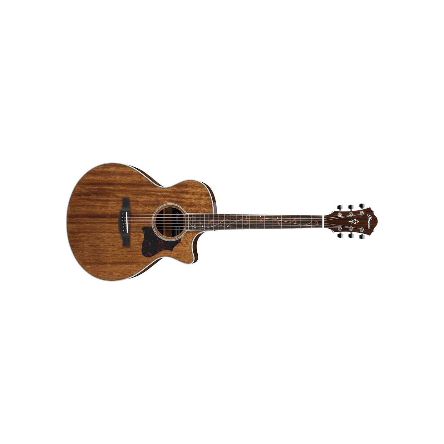 IBANEZ AE245-NT