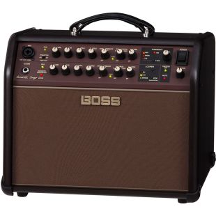 BOSS ACOUSTIC SINGER LIVE