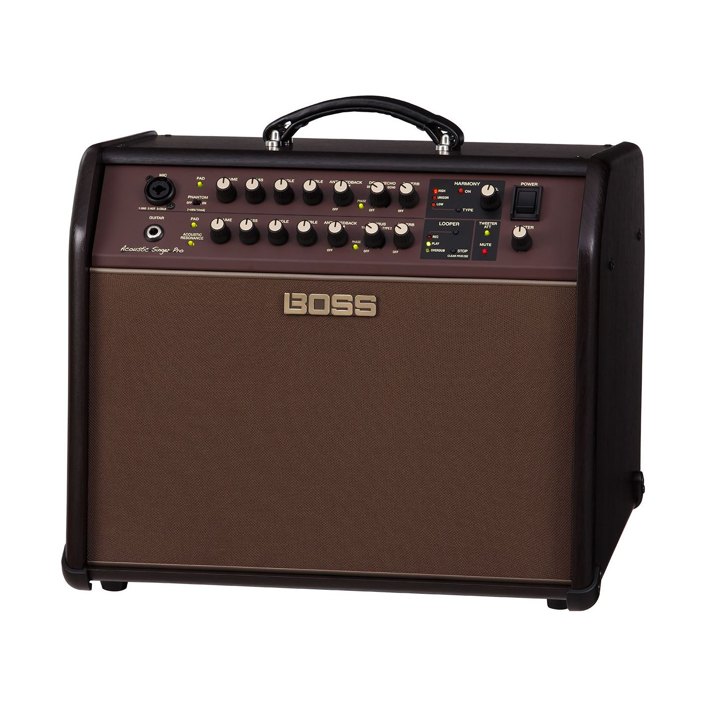 BOSS ACOUSTIC SINGER PRO