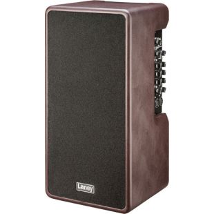 LANEY A-DUO