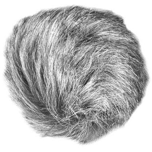 ZOOM WSU-1
