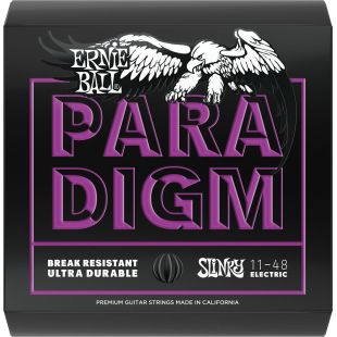 ERNIE BALL EB2020