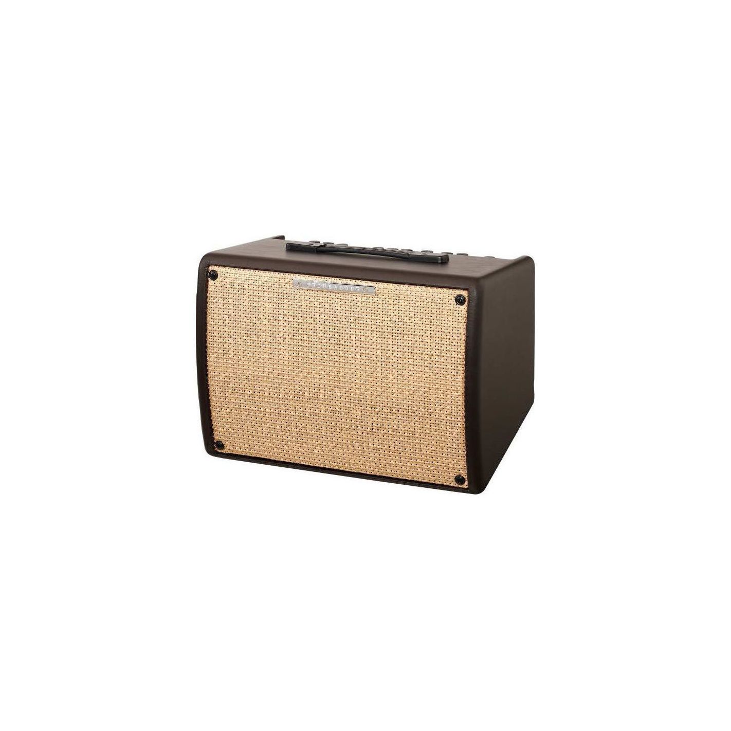 IBANEZ T30II ACOUSTIC COMBO