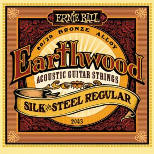 ERNIE BALL EB2043