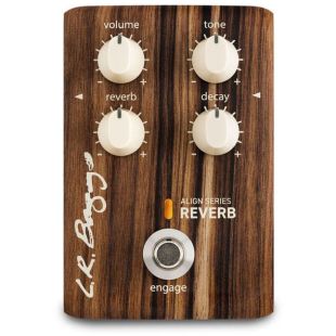 L.R.BAGGS ALIGN REVERB