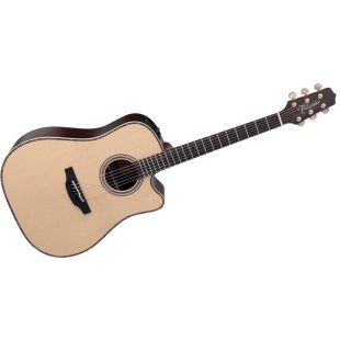 TAKAMINE NATURAL SERIES TN18C