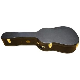 ASHTON APCW12 STRINGS CASE