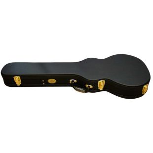 ASHTON APCLP LES PAUL CASE
