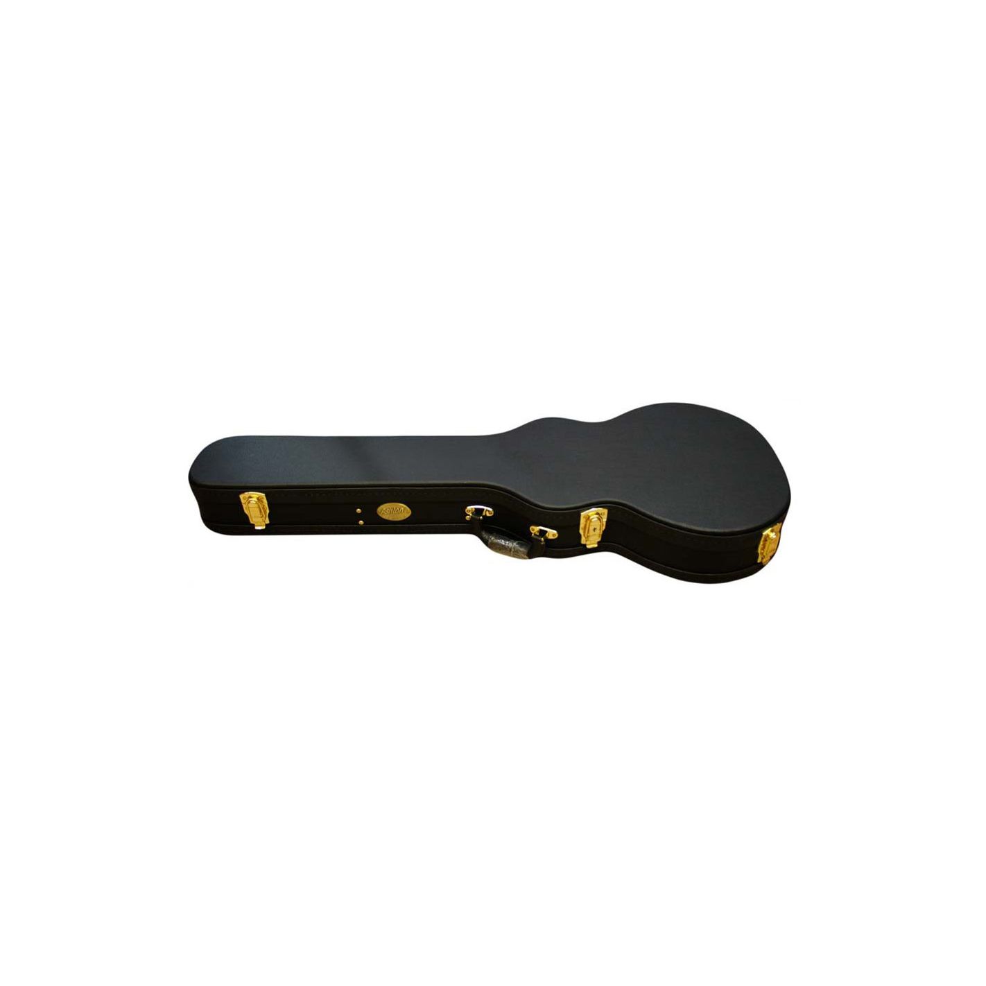 ASHTON APCLP LES PAUL CASE