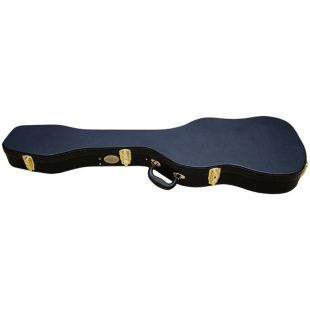 ASHTON APCBS BASS CASE