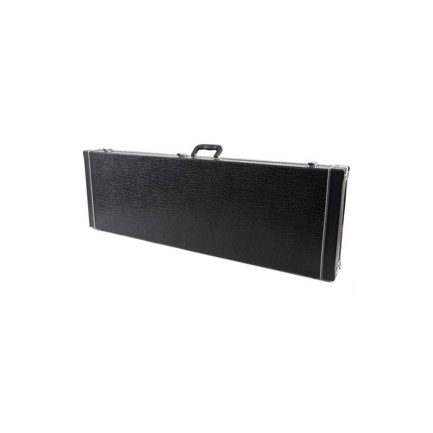 ASHTON APBCC BASS CASE