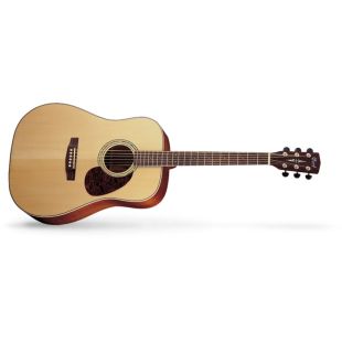CORT EARTH100 NS