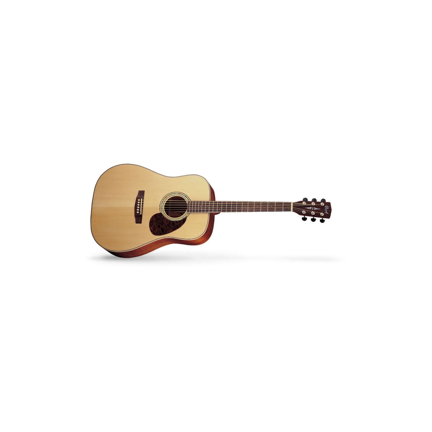 CORT EARTH100 NS