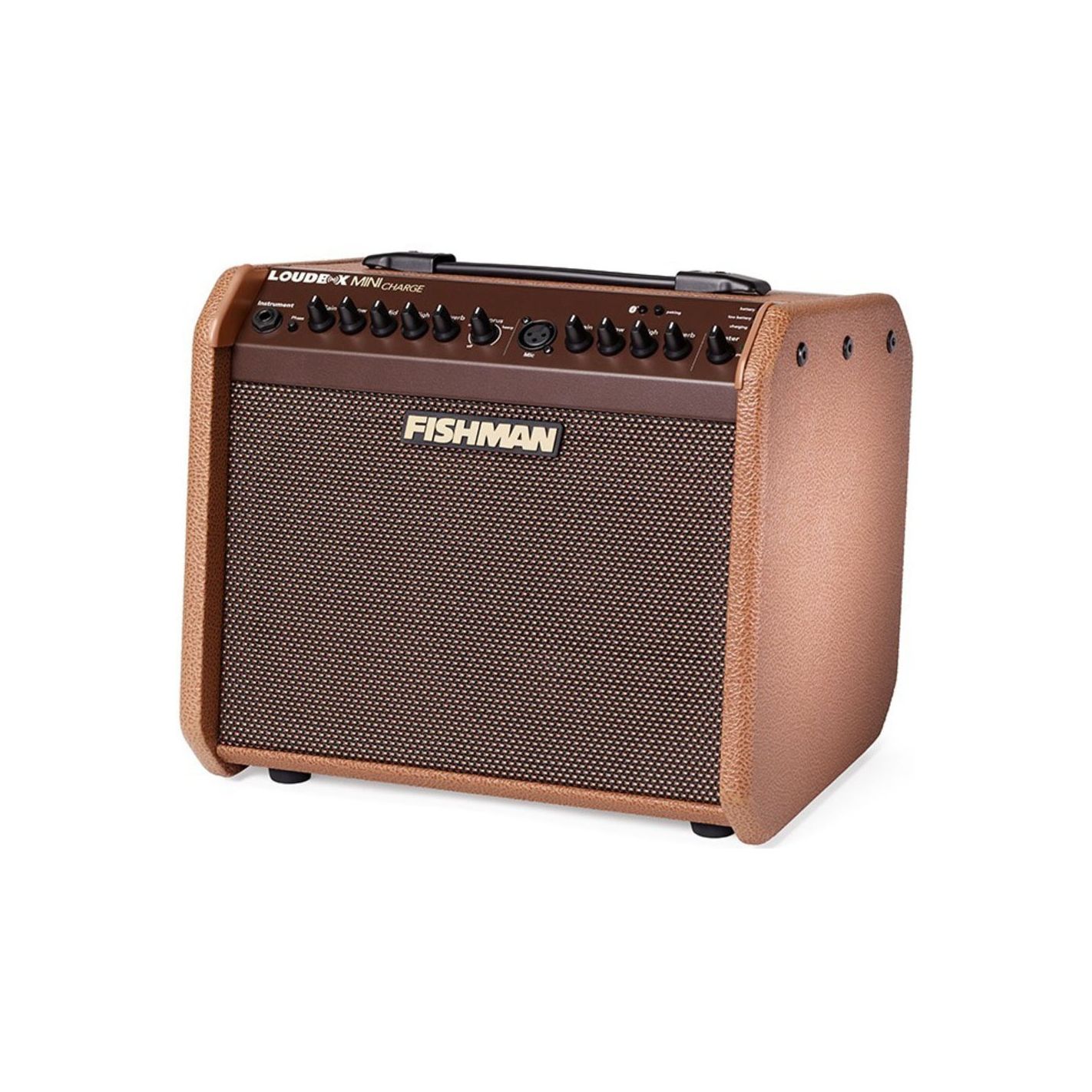 FISHMAN LOUDBOX MINI CHARGE