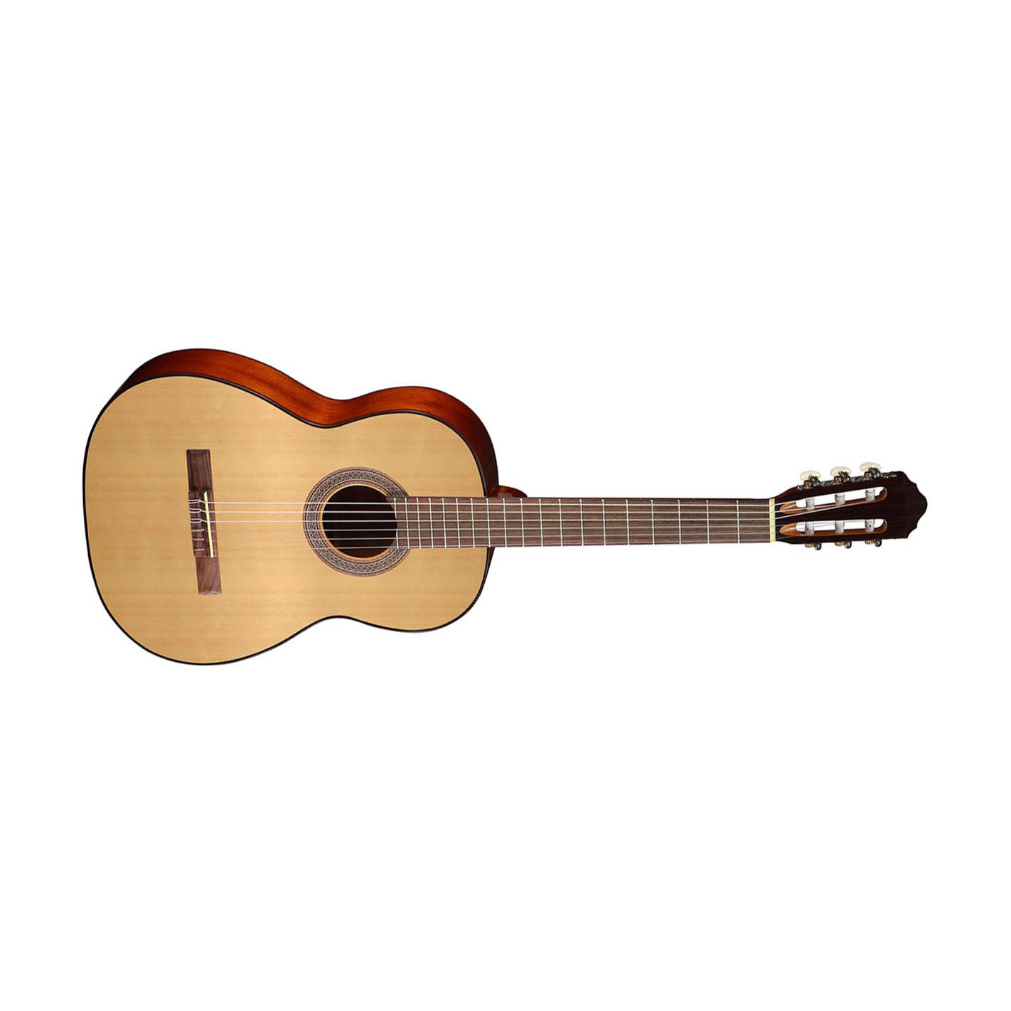 CORT AC100 OP