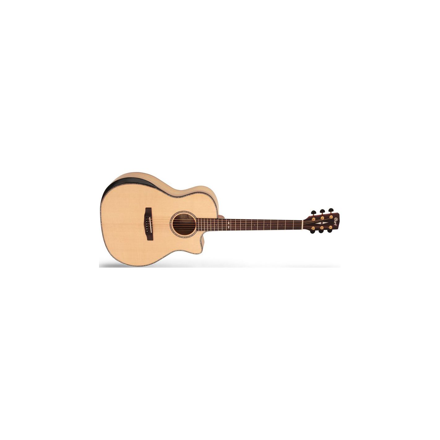 CORT GA-MY BEVEL