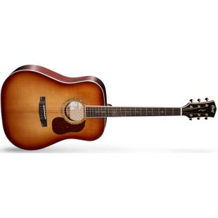 CORT GOLD-D8 LB