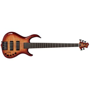MARCUS MILLER SIRE M7 ALDER 5 BRS 2ND GEN