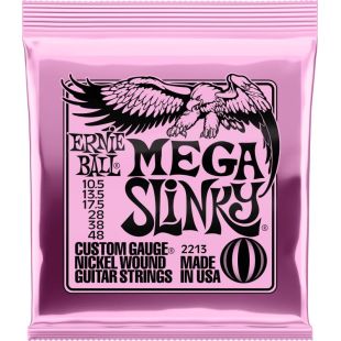 ERNIE BALL EB2213