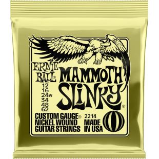 ERNIE BALL EB2214