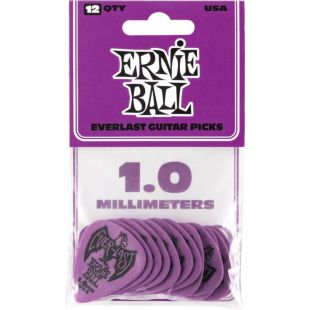 ERNIE BALL EB 9193 EVERLAST 1.00 PURPLE 12BAG