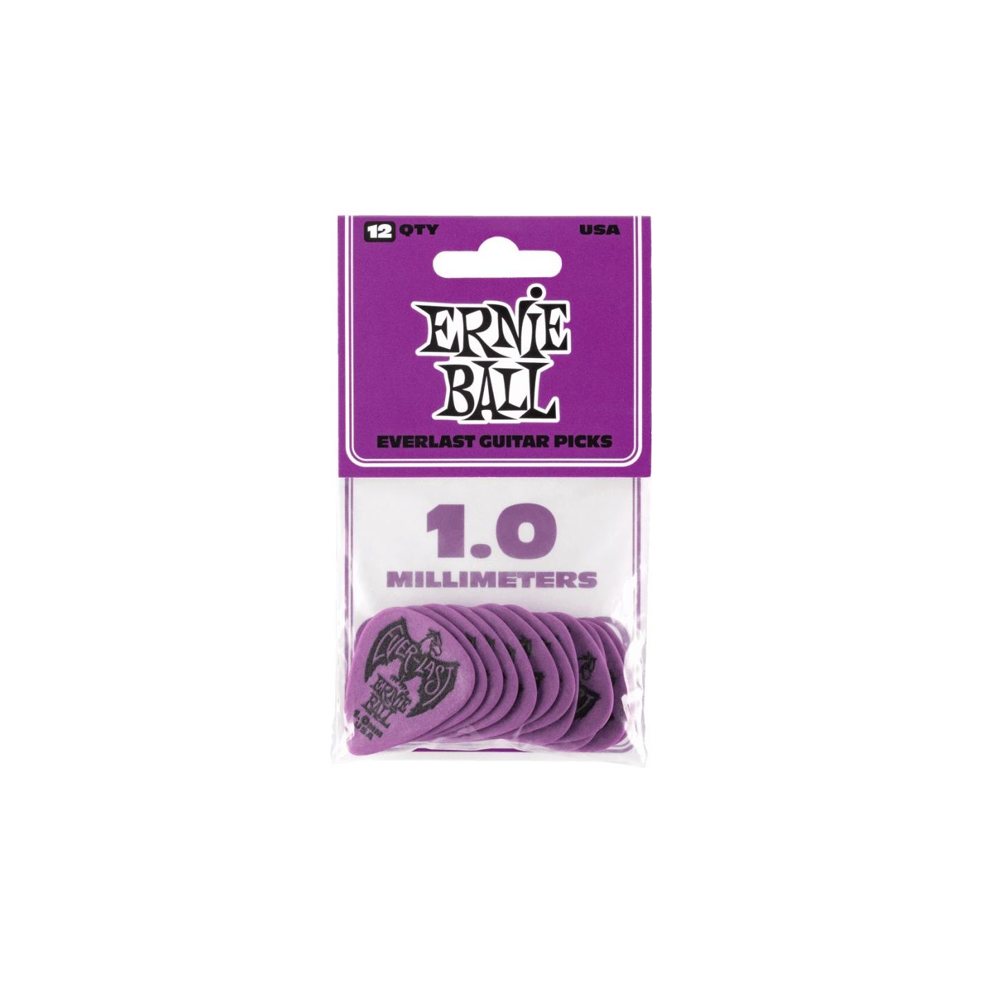 ERNIE BALL EB 9193 EVERLAST 1.00 PURPLE 12BAG