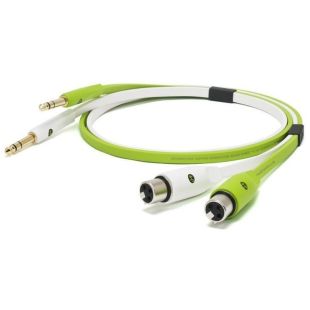 NEO dPLUS XFT CLASS B 3m
