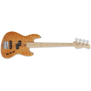 MARCUS MILLER SIRE U5 ALDER-4 NT