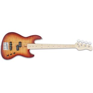 MARCUS MILLER SIRE U5 ALDER-4 TS