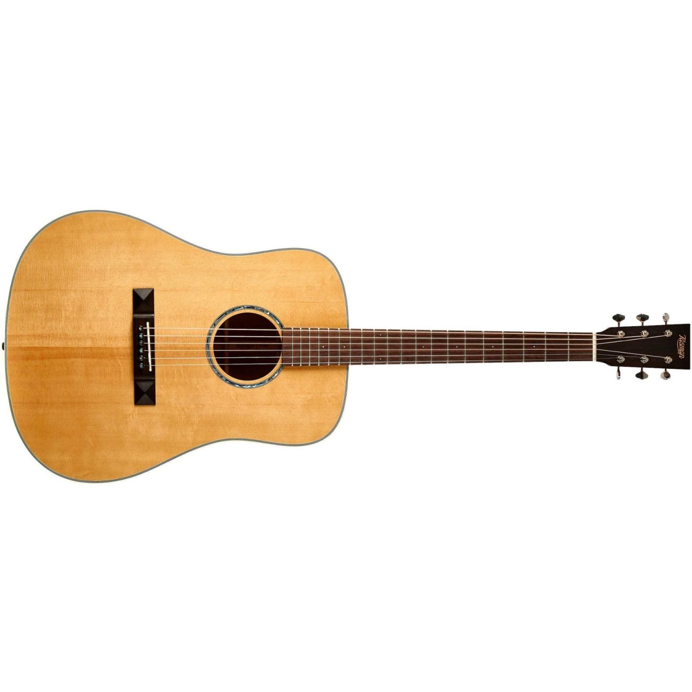 TASMAN TA100 DREADNOUGHT ACOUSTIC WITH CASE