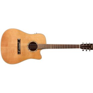 TASMAN TA100-CE DREADNOUGHT WITH CASE