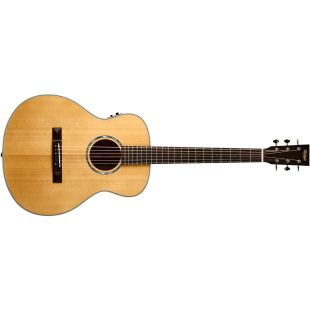 TASMAN TA100M-E MINI JUMBO WITH CASE