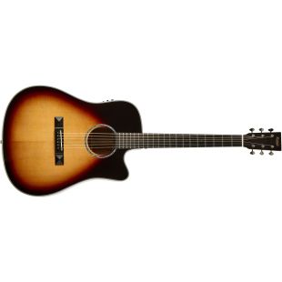 TASMAN TA300-CE DREADNOUGHT WITH CASE