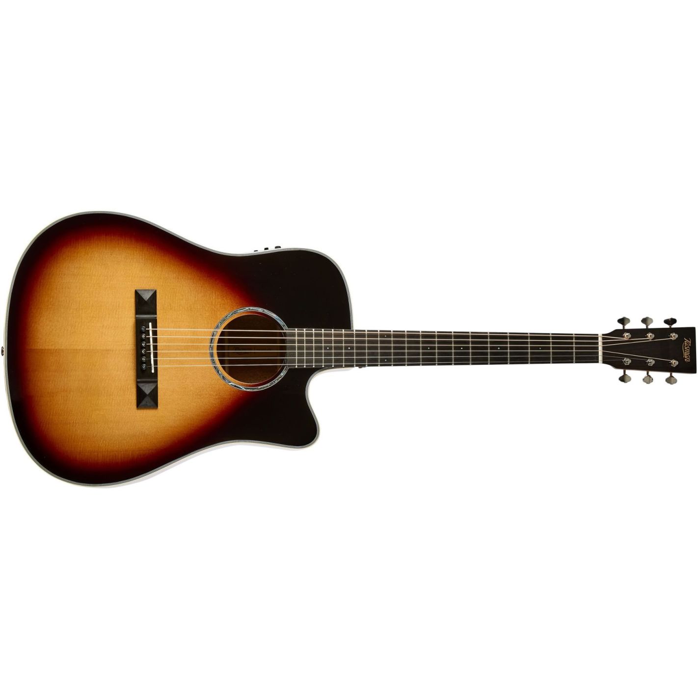 TASMAN TA300-CE DREADNOUGHT WITH CASE