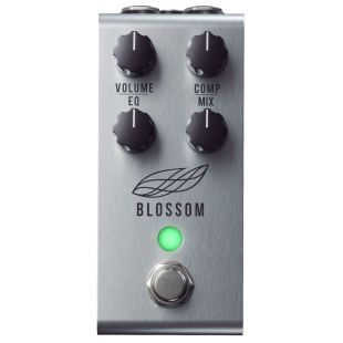 JACKSON AUDIO BLOSSOM