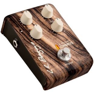 L.R.BAGGS ALIGN CHORUS