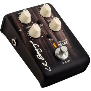 L.R.BAGGS ALIGN DELAY