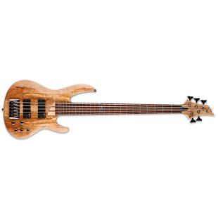 LTD B-205SM NS