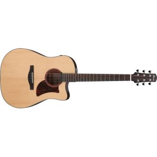 IBANEZ AAD170CE-LGS