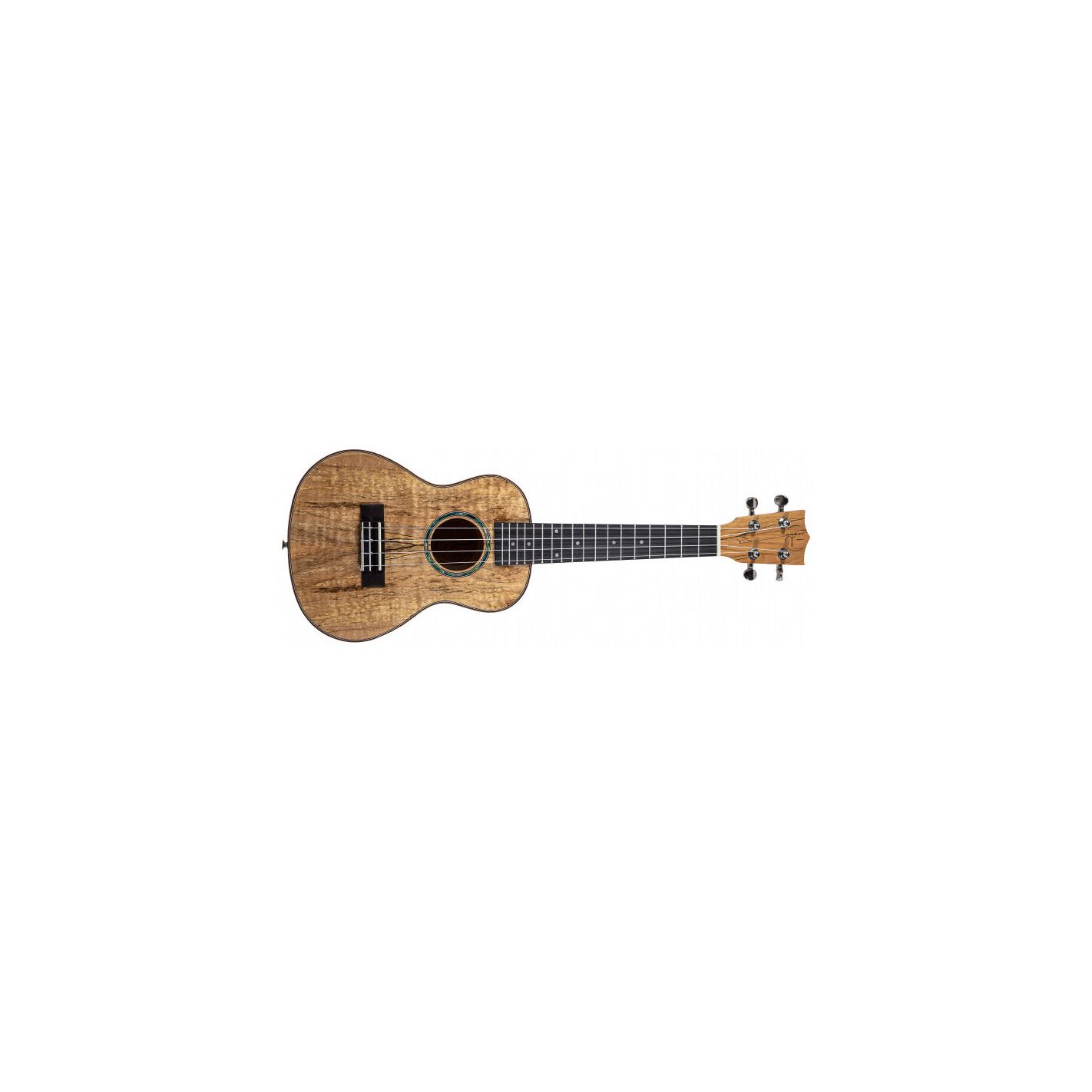 BONES GUITARS UKELELE CONCERT BONES SP350C ROTTEN WOOD