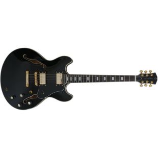 LARRY CARLTON SIRE H7 BLACK