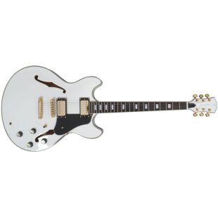 LARRY CARLTON SIRE H7 WHITE