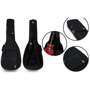 LARRY CARLTON SIRE GIGBAG S L T