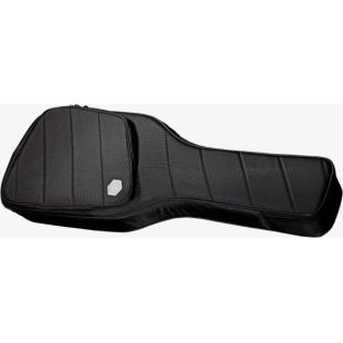 LARRY CARLTON SIRE GIGBAG H