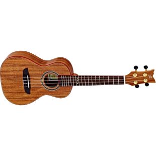 ORTEGA RUACA-CC