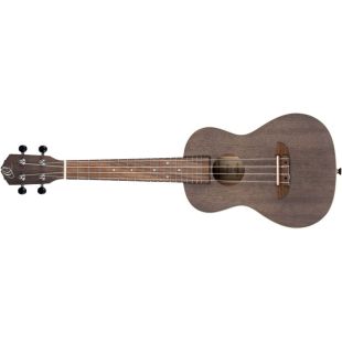 ORTEGA RUCOAL-L