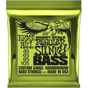 ERNIE BALL EB2852