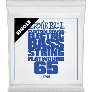 ERNIE BALL EB1765